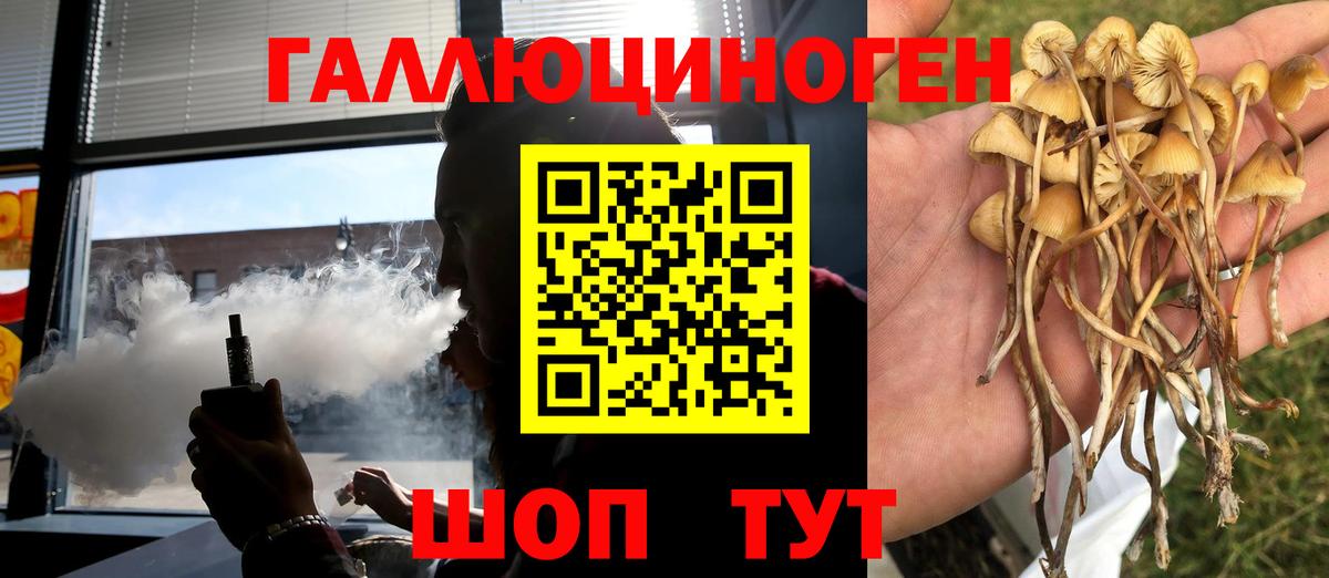 Краснокаменск  Псилоцибиновые грибы GOLDEN TEACHER  Псилоцибиновые грибы Cubensis  Вход с VPN 